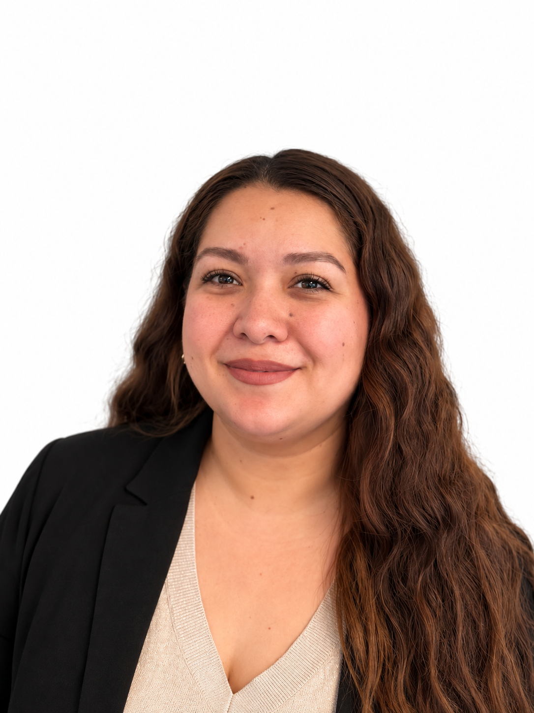 Ejecutivo Angélica Sierra Hernández